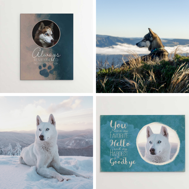 Siberian Husky memorials