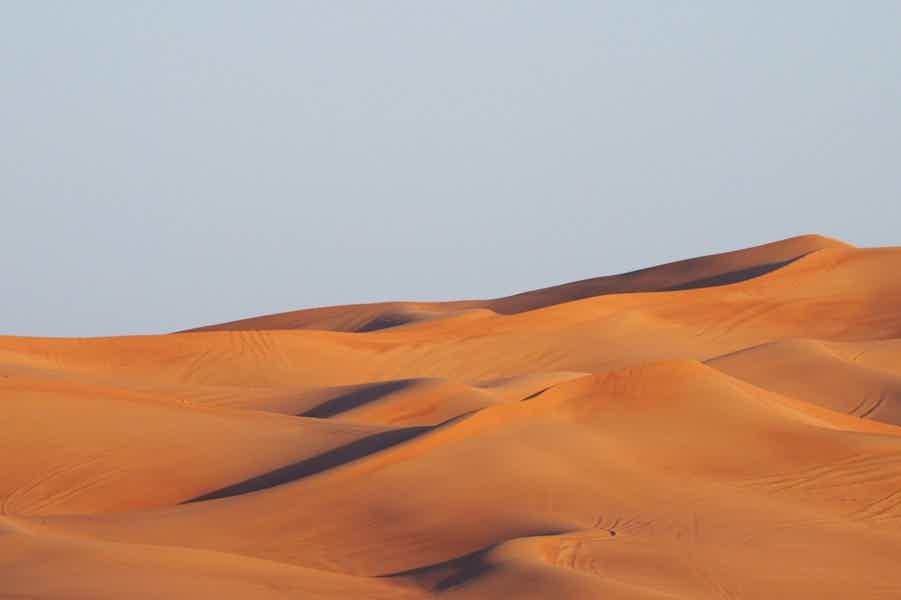 Hot safari tour: a tastiest dinner and personal service included! - photo 2