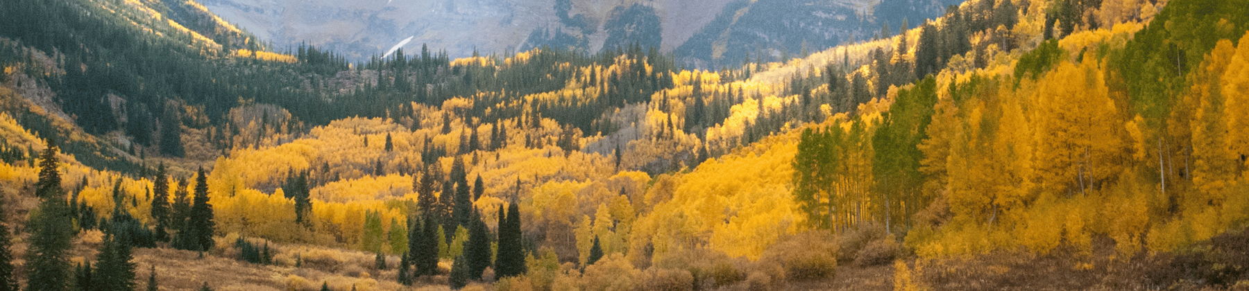 Colorado skyline
