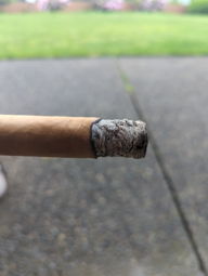 Cigar Session Photo