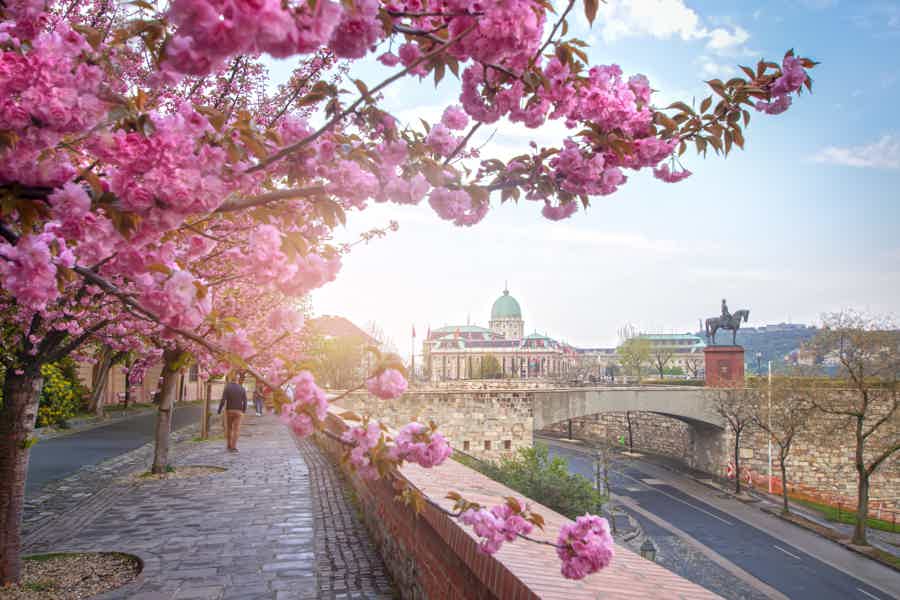 Walking Tour of Buda Castle with a Historian - photo 3