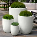 Smithsonian Collection, Smithsonian Planters