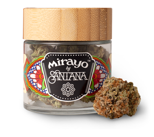 image of Mirayo sativa cannabis jar and flower