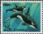 orca
