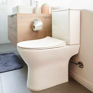 Large Toilet