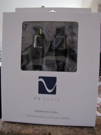 PS Audio Perfect Wave AC12 - 2M