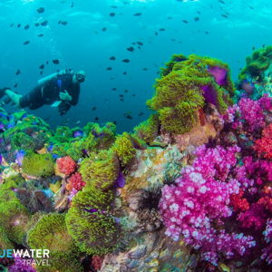 Scuba Diving Course