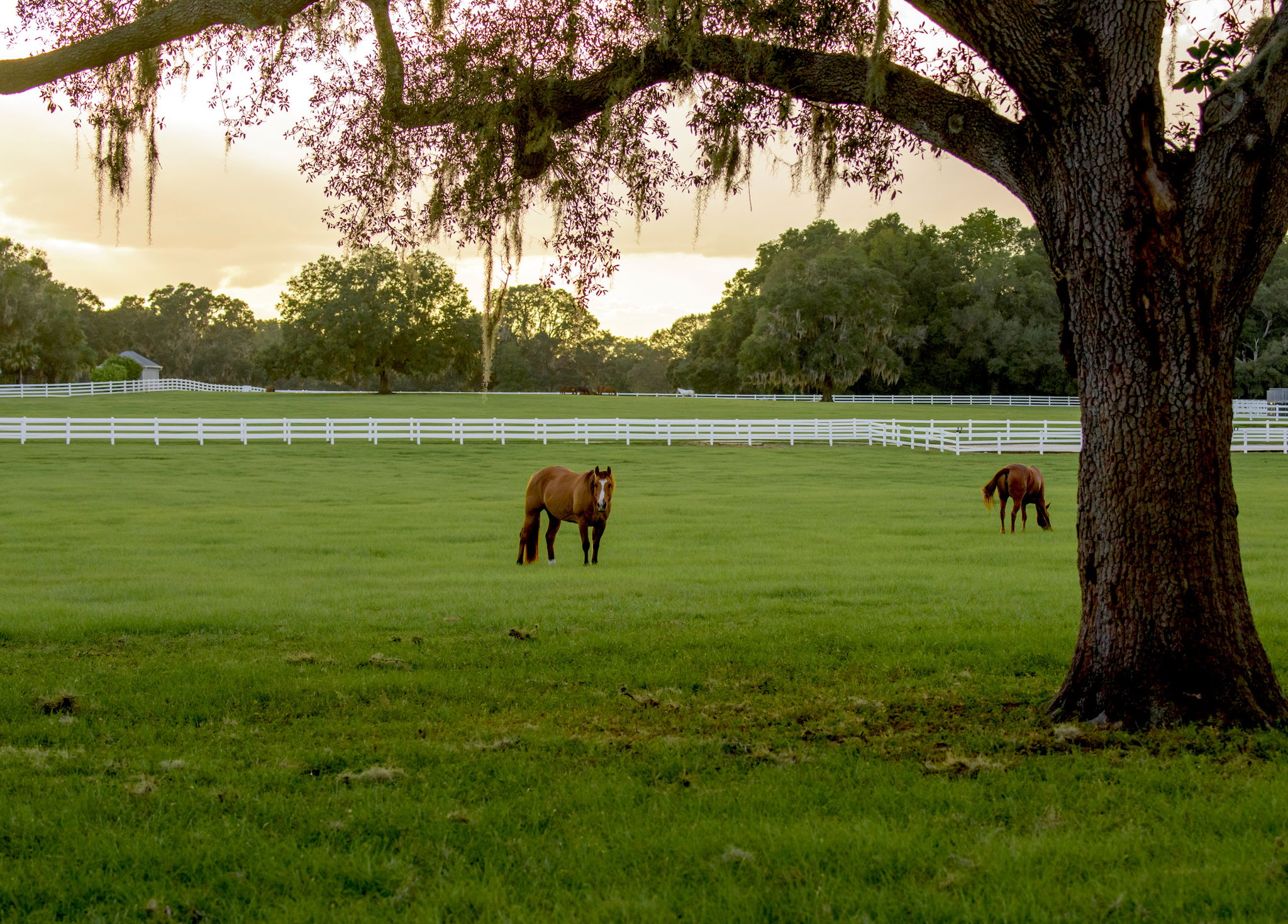 Properties En Venta in Ocala