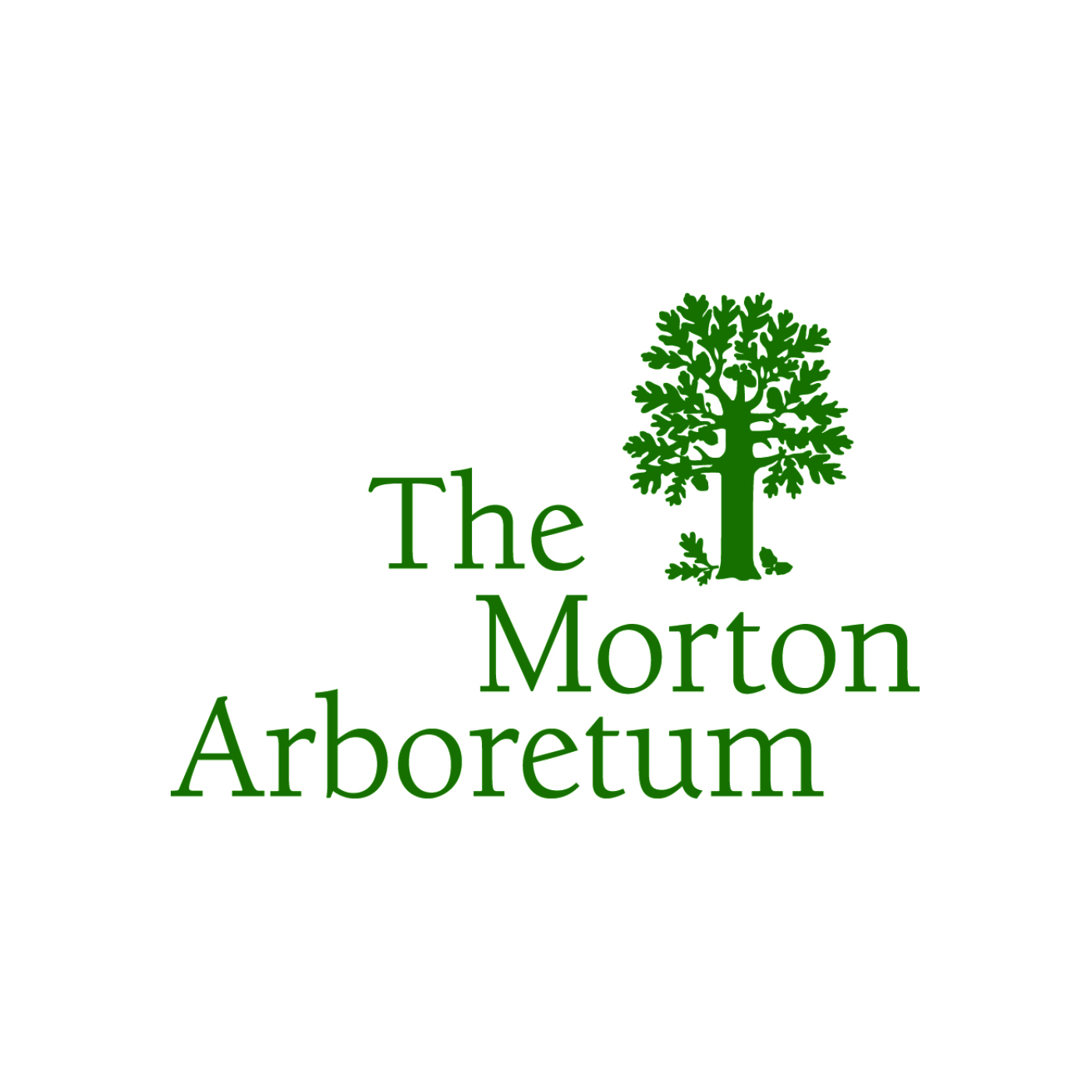 Morton Arboretum 