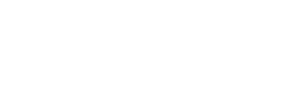 Cardano Ballot 2023: The Voice of the Cardano Community