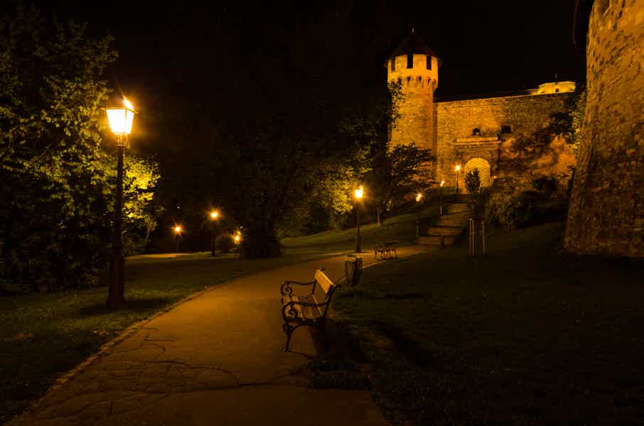 Buda Castle Vampires & Myths Evening Walking Tour - photo 6