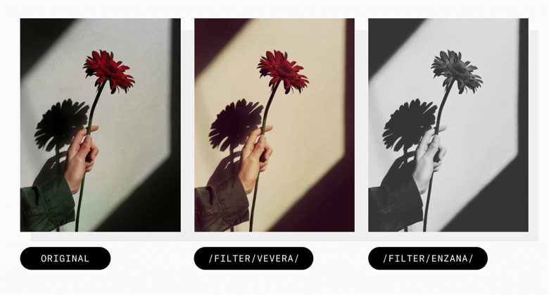 A nice vintage look, or maybe a perfect black-and-white? filter effects example