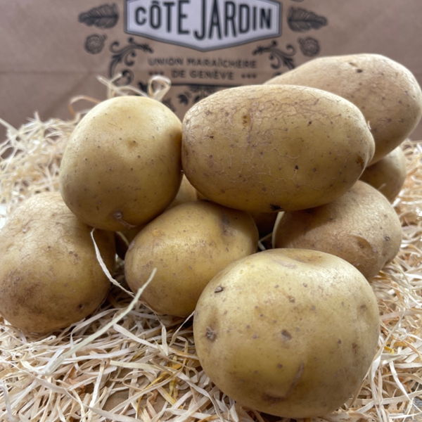 pommes-de-terre-grenaille