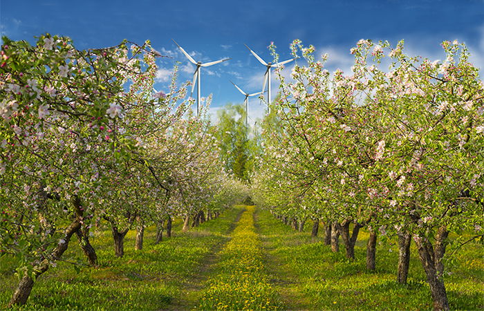red jacket orchards sustainability