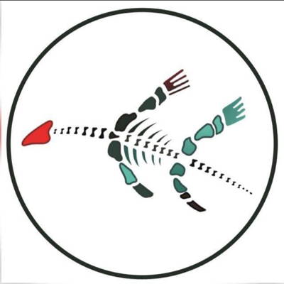 Barrow Town Cricket Club Cricket Club Logo