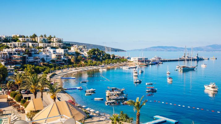 Bodrum is renowned for its sweet and juicy mandarin oranges, a staple of the local agriculture