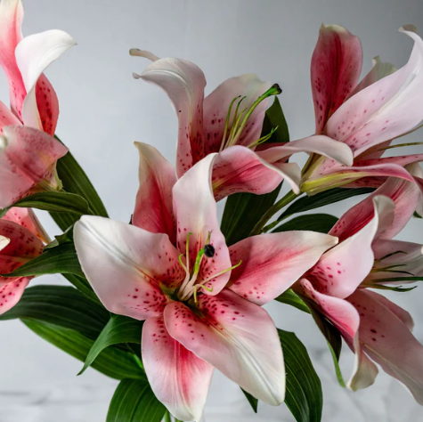 Pale Pink Oriental Lily - Realistic Artificial Flowers - Image 2