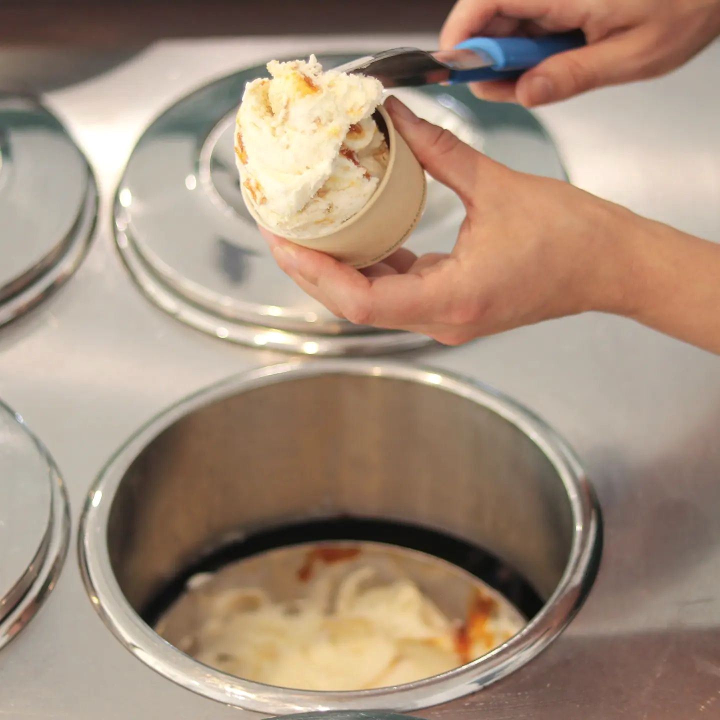 Tamborine Mountain Gelato Co logo