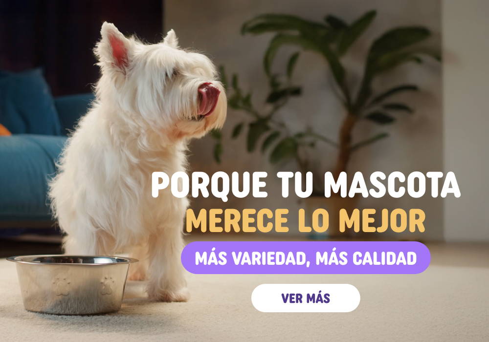 zignature - energía real para su día a día