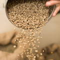The Best Local Coffee Roasters Near Me Green Beans The Best Local Coffee Roasters Near Me Green Beans