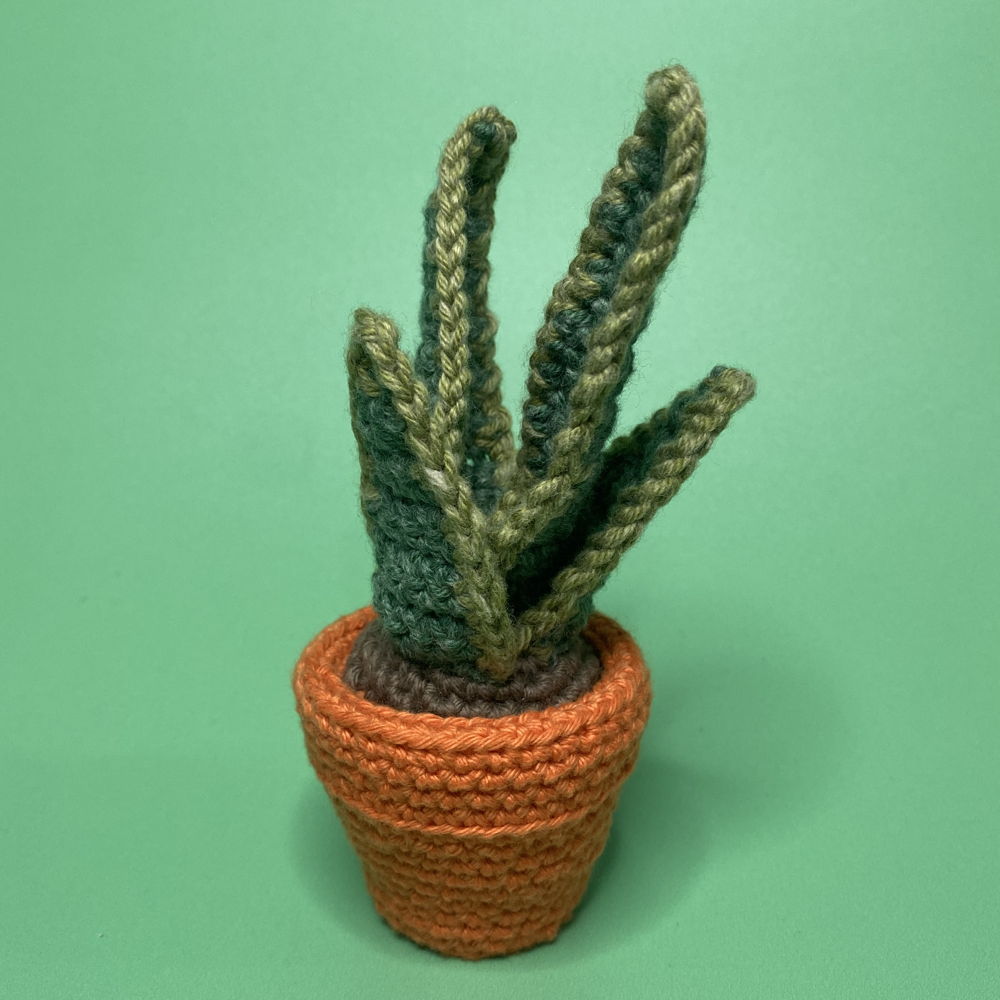 Snazzy Snake Plant amigurumi