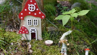 kingergeburtstag im magischen reich mirtschink