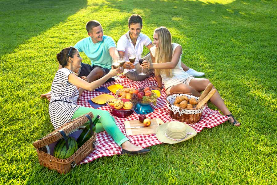 Picnics experience in Hungary - photo 4