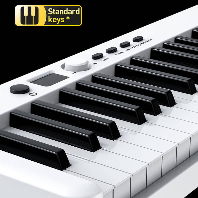 88 key keyboard for beginners, keyboard with weighted keys for beginner,  best keyboard piano for beginners