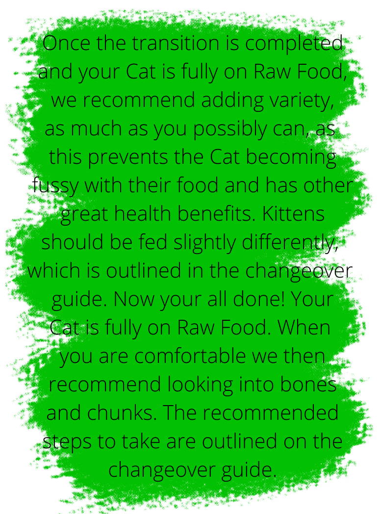 Black Text on a Green Paint Background