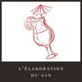 Bouton pour la page L'élaboration du Gin