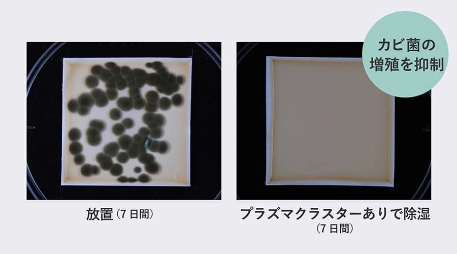 付着カビ菌の抑制効果