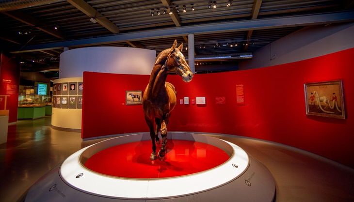 westfälisches pferdemuseum wohlgestalt und ungestalt