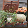 Startseite Country Kitchen