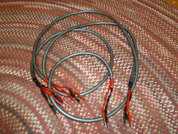 Wireworld Equinox 6 Bi-Wire Speaker cable, 8'