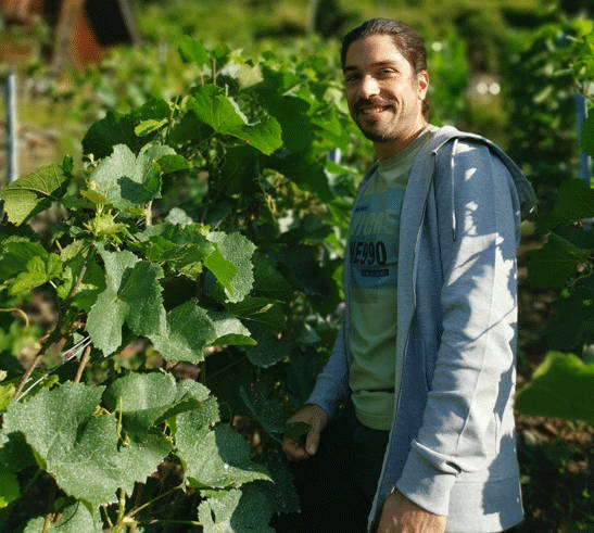 Romain Cipolla, vigneron du Weingut Cipolla en Valais