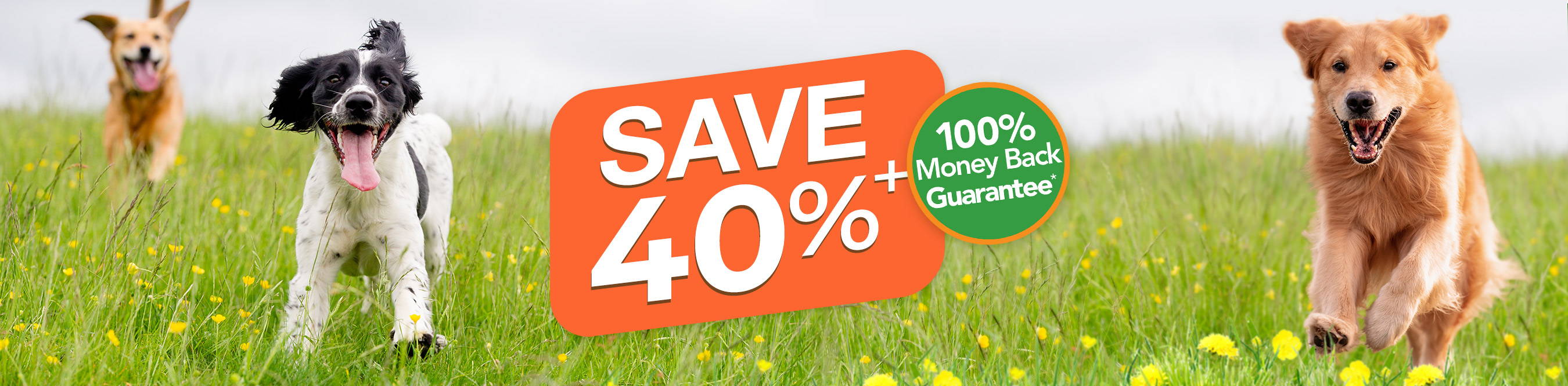 Rose-Hip Vital Canine 500g | Introductory Offer
