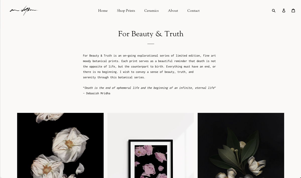 Screenshot of Art Portfolio Website: Mel Volkman, from the photography websites collection.