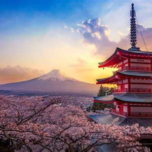 Japan Honeymoon Fund