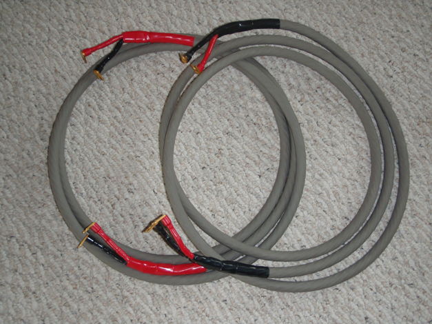LitzLine 10-Foot Speaker Cable Pair