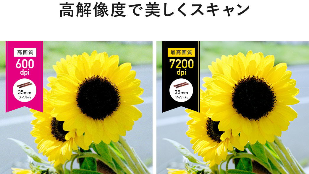 美しくスキャン