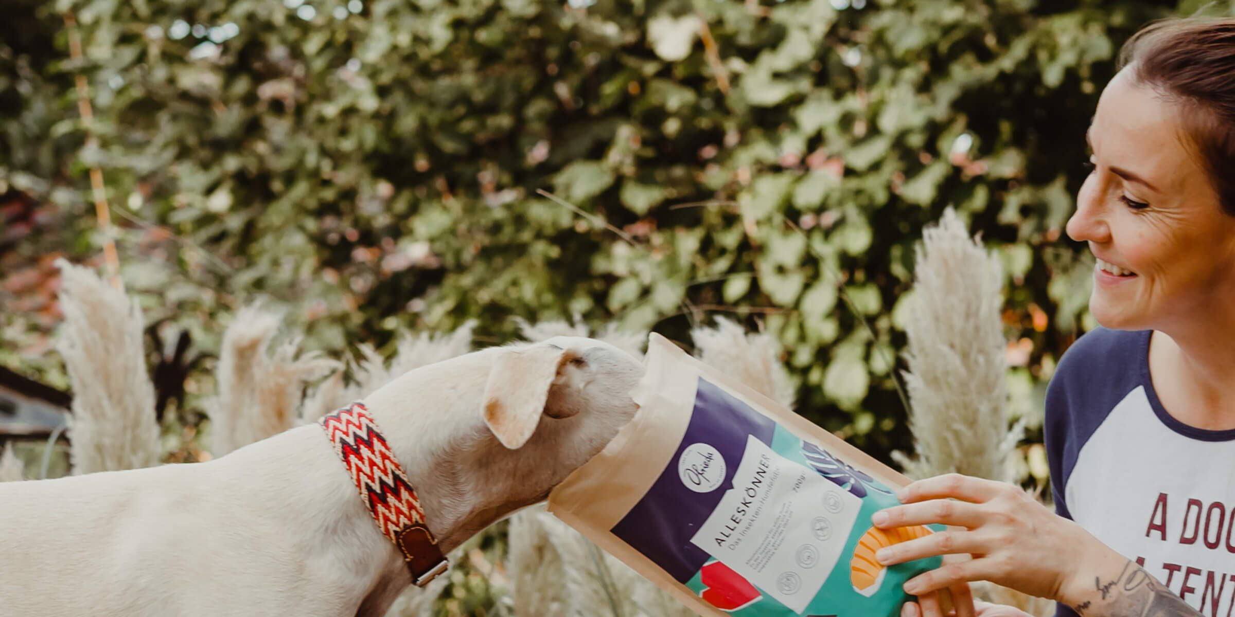 Deux chiens mangent des croquettes Ofrieda