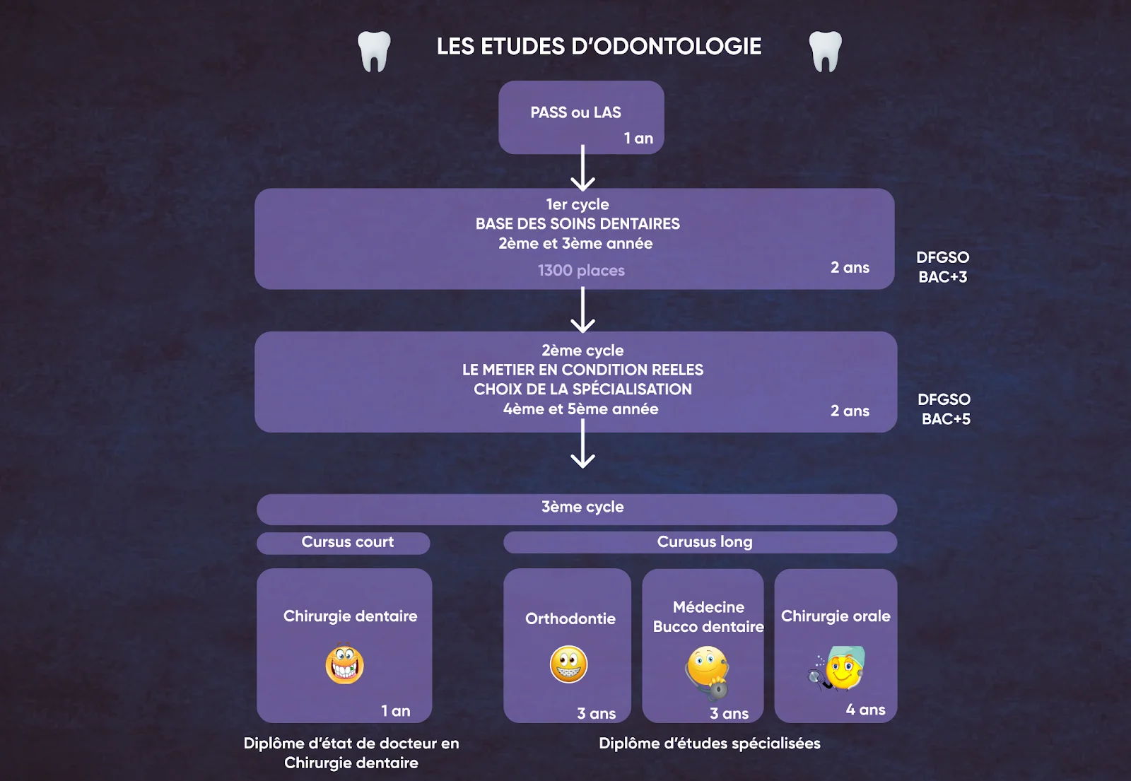 cycles études dentaire