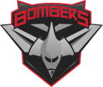 Waaia Cricket Club Logo