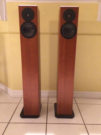 Totem Acoustics Arro speakers Rich, Detailed Arros - FR...
