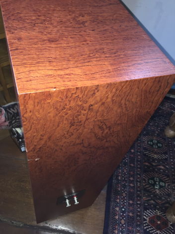 Audio Nirvana Super 8 Alnico with 1.3 size cabinet
