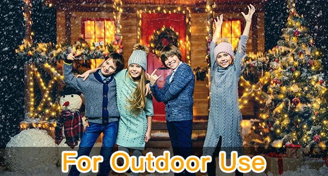 Ollny's 600 leds clear wire warm white Christmas lights with 3 timer functions