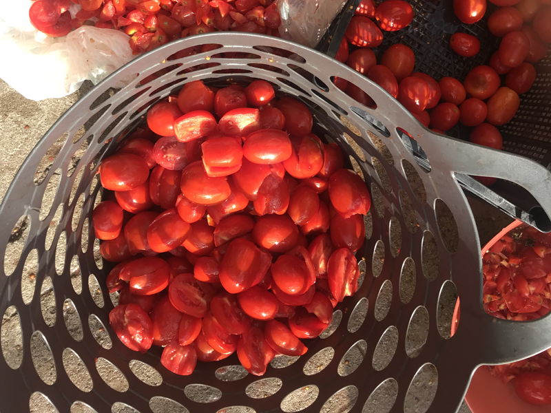 Cooking classes Cremona: Tradition at the table: learning to make Gnocchi