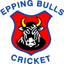 Epping Bulls Cricket Club logo
