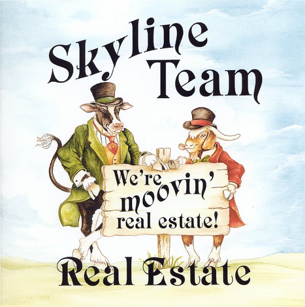 Skyline Team Real Estate