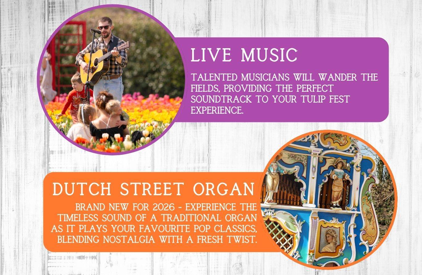 Experience Tulip Fest 2026 - the South West’s original and largest tulip festival. Explore over 500,000 blooms, 60 vibrant varieties, stunning photo spots, family-friendly entertainment, and a touch of Holland in the heart of Devon. Don’t miss this spectacular spring event!